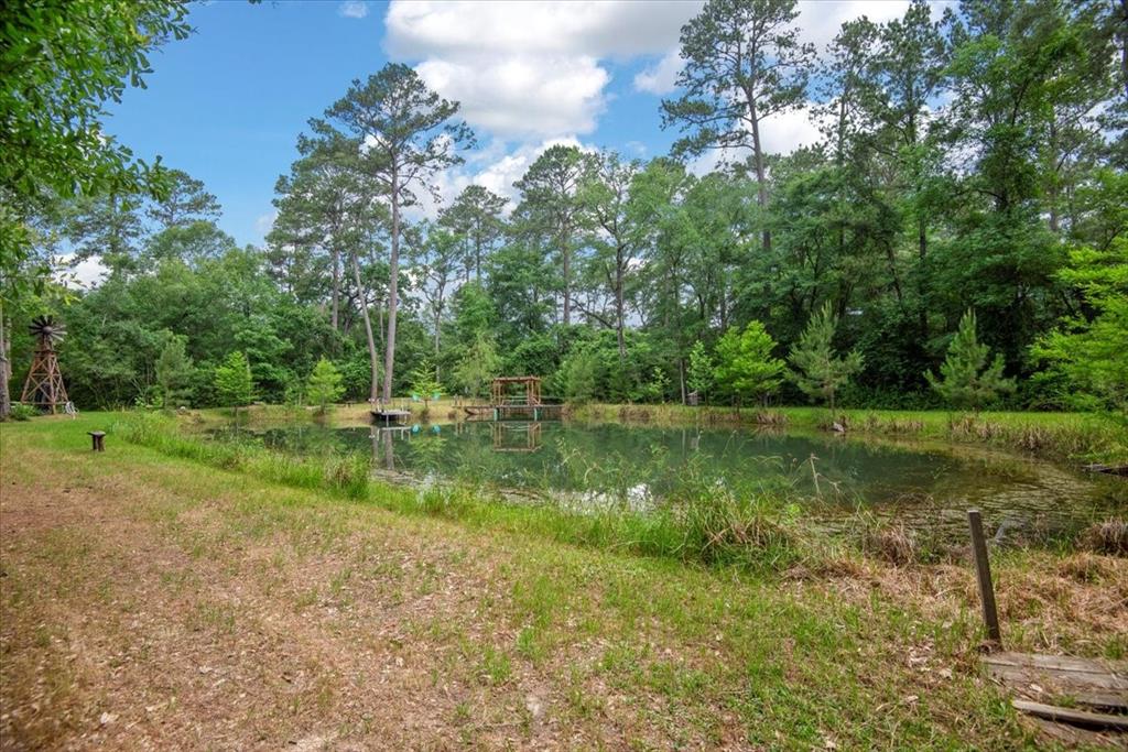 15901 Butera Rd Rd, Magnolia, Texas image 17