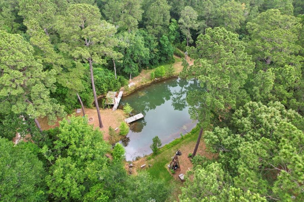 15901 Butera Rd Rd, Magnolia, Texas image 3