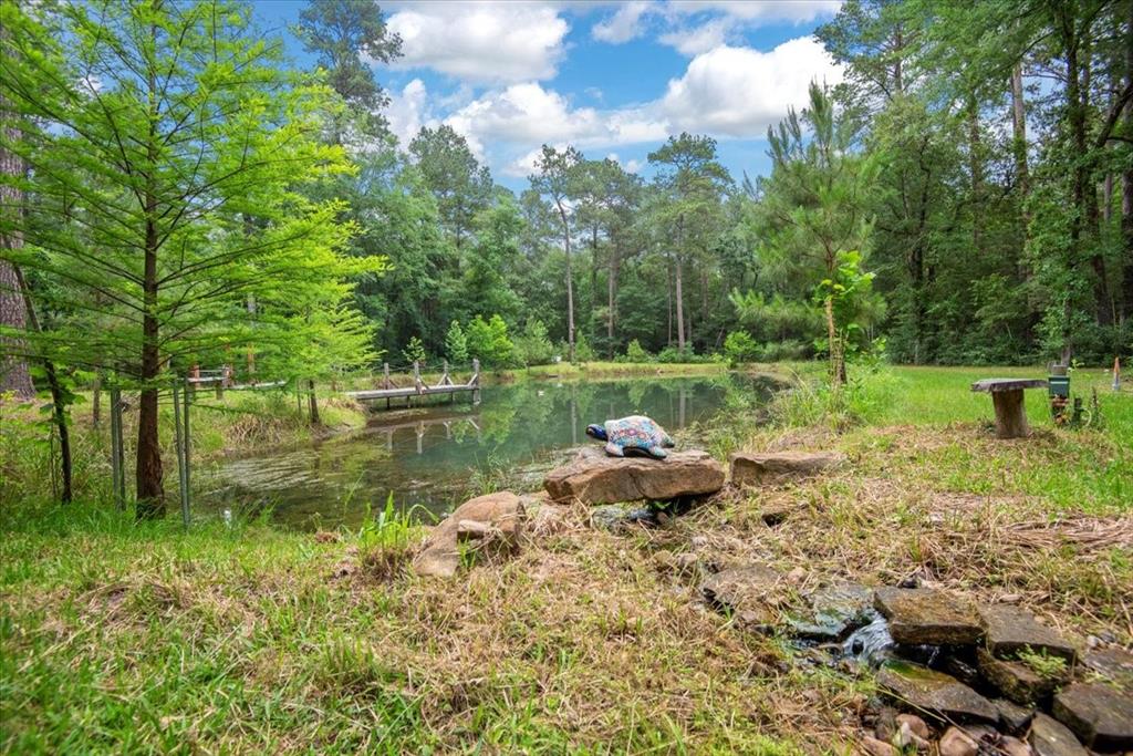 15901 Butera Rd Rd, Magnolia, Texas image 16
