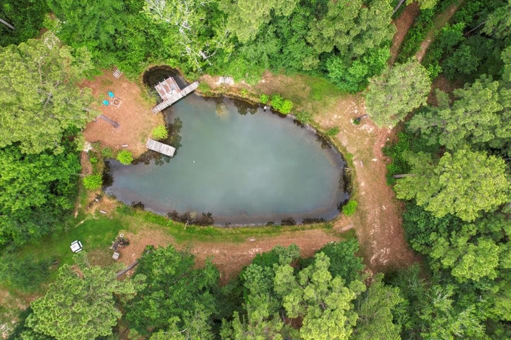 15901 Butera Rd Rd, Magnolia, Texas image 2