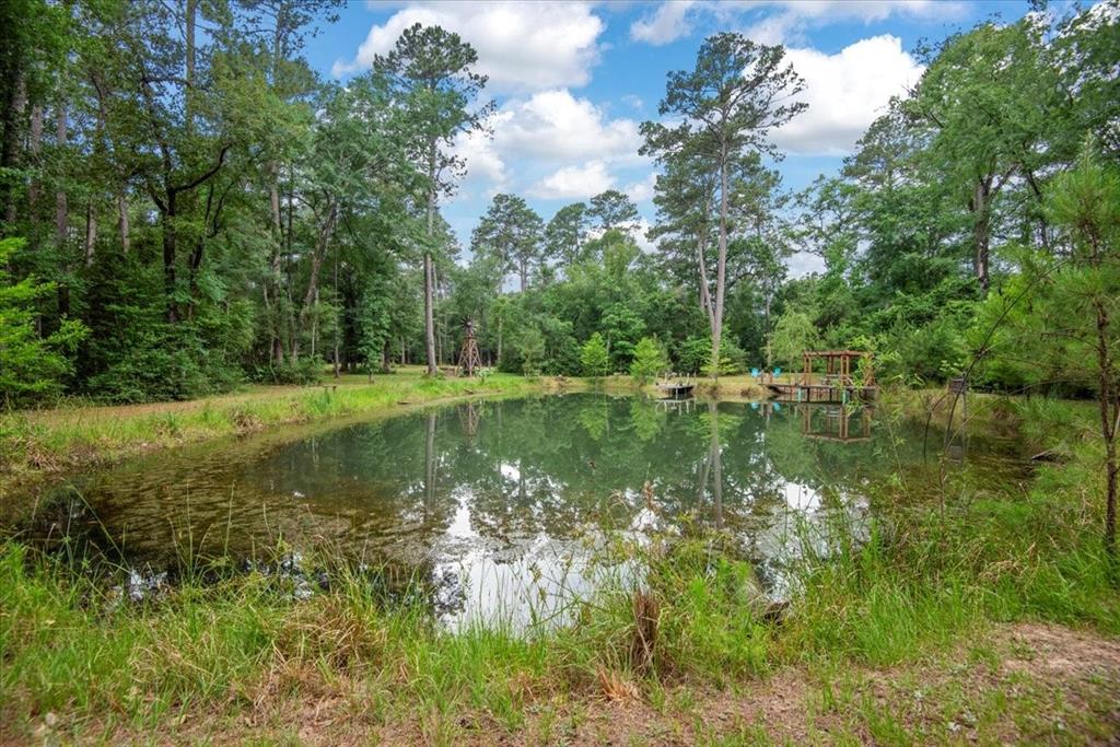 15901 Butera Rd Rd, Magnolia, Texas image 18