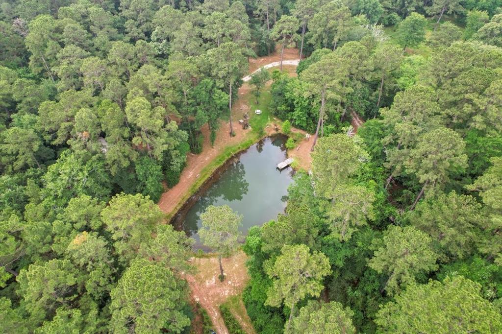 15901 Butera Rd Rd, Magnolia, Texas image 4