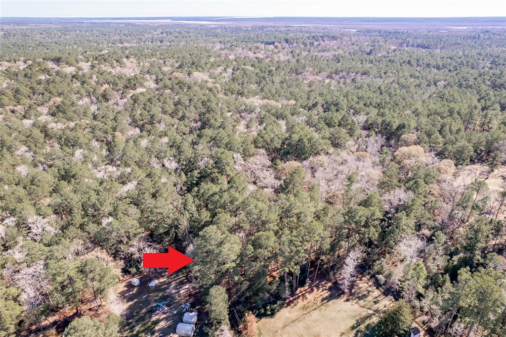 Lot 43 Kings Way, Trinity, Texas image 17