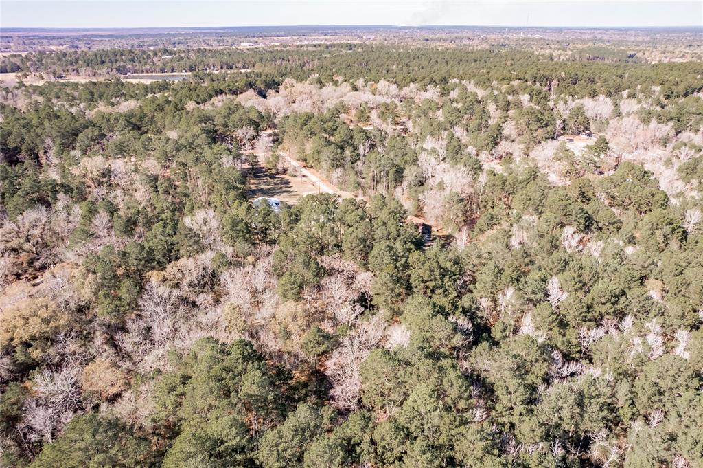 Lot 43 Kings Way, Trinity, Texas image 12