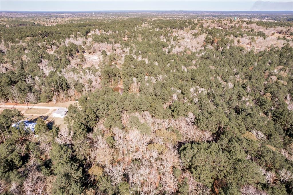 Lot 43 Kings Way, Trinity, Texas image 13