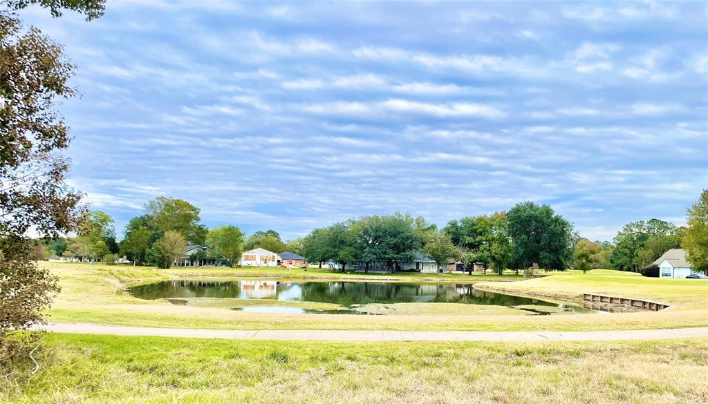 88 Westwood Drive, Trinity, Texas image 8