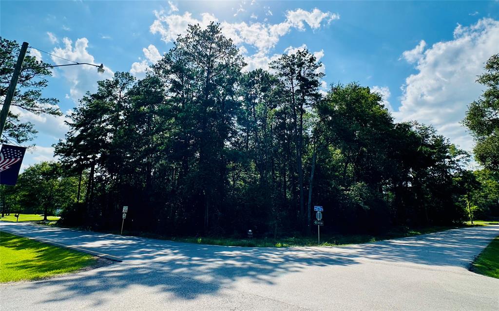 2527 Roman Forest Blvd