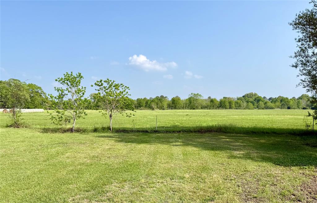 12415 Roesler Road, Needville, Texas image 46