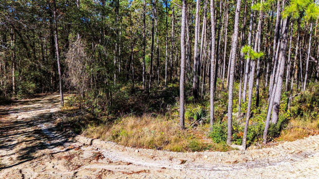 014 Magnolia Ranch Road, Onalaska, Texas image 7