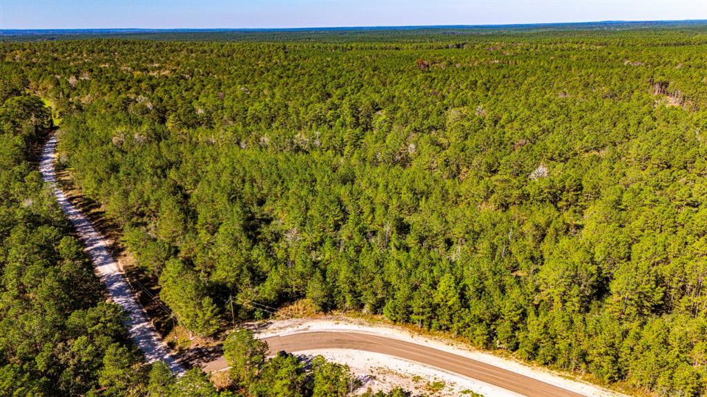 014 Magnolia Ranch Road, Onalaska, Texas image 8