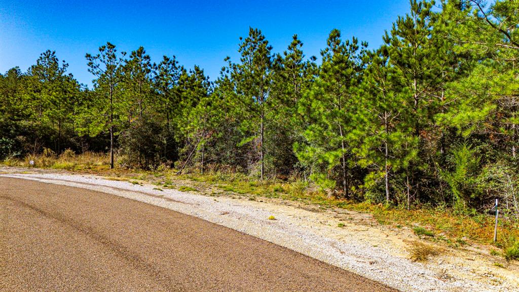 014 Magnolia Ranch Road, Onalaska, Texas image 6