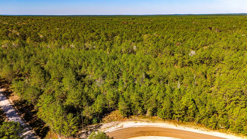 014 Magnolia Ranch Road, Onalaska, Texas image 4