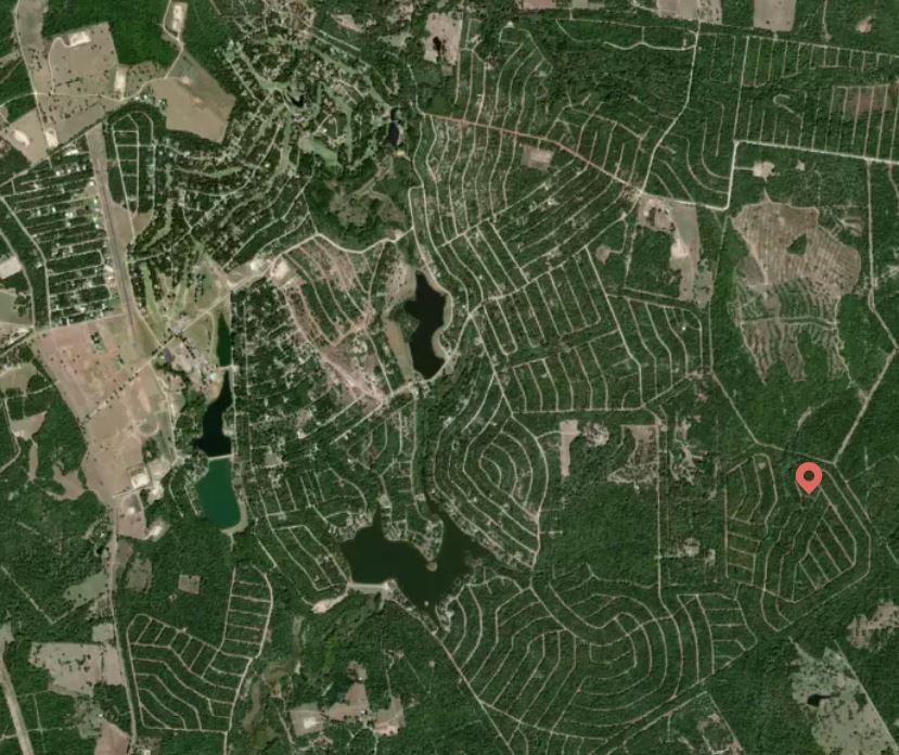 Lot 51 E Austin Colony, Normangee, Texas image 4