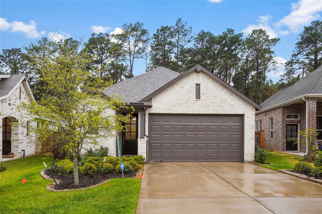 195 Lukewood Circle, Conroe, Texas image 1