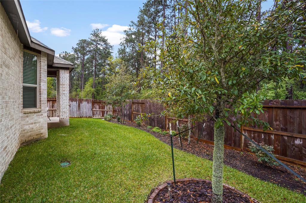 195 Lukewood Circle, Conroe, Texas image 32