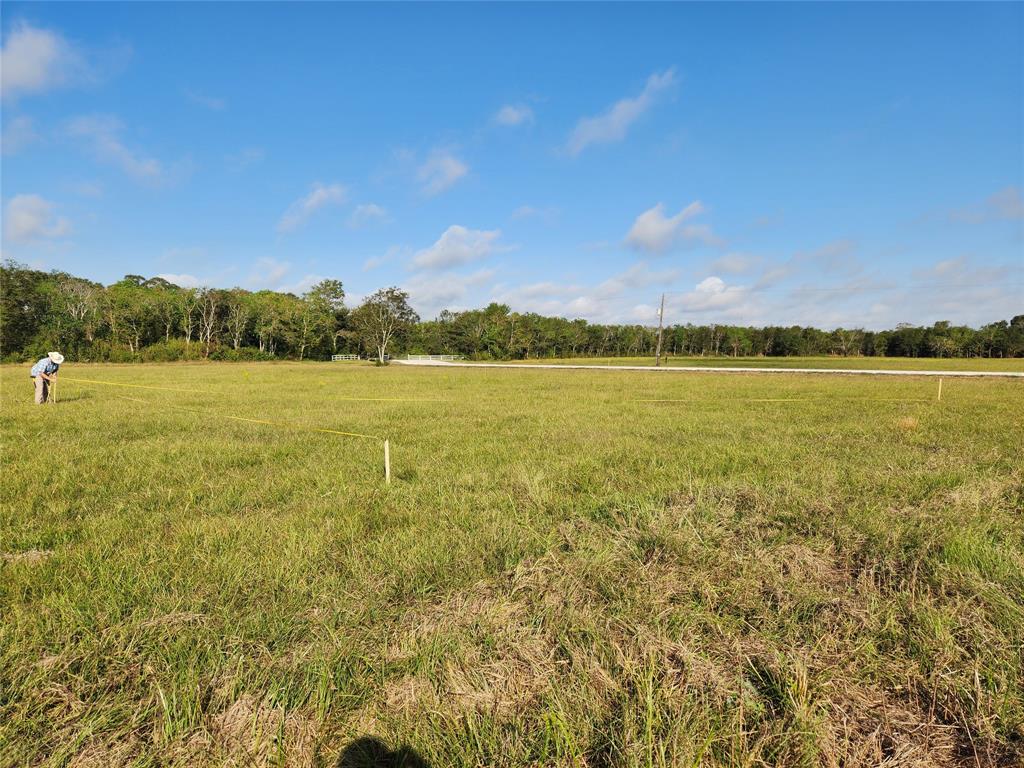 1819 Rymal Ranch Road, Alvin, Texas image 4