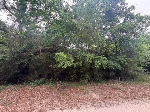 Photo of TBD Grand Oak 1, Palacios, TX 77465 (MLS # 48459136) Photo of TBD Grand Oak 1, Palacios, TX 77465 (MLS # 48459136)