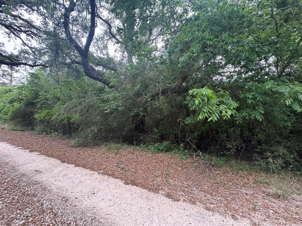 TBD Grand Oak 1, Palacios, Texas image 3