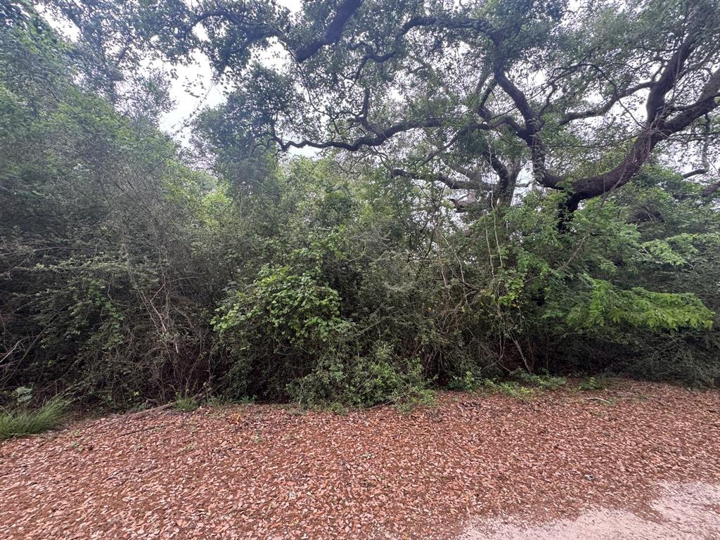 TBD Grand Oak 1, Palacios, Texas image 7