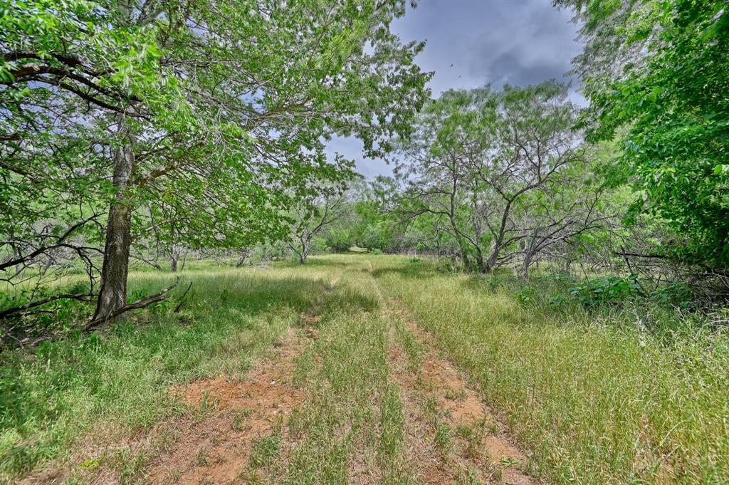 1589 Jeddo Road