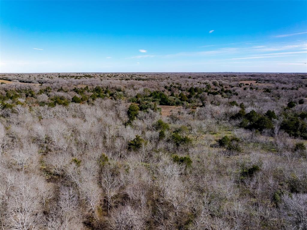 1589 Jeddo Road, Rosanky, Texas image 20