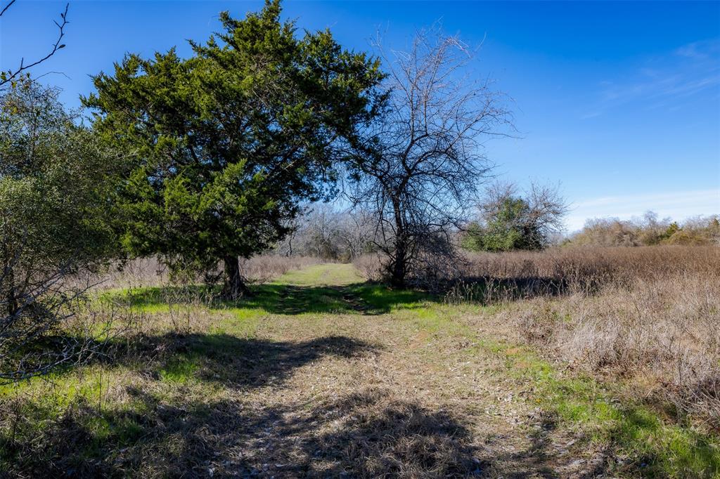 1589 Jeddo Road, Rosanky, Texas image 7