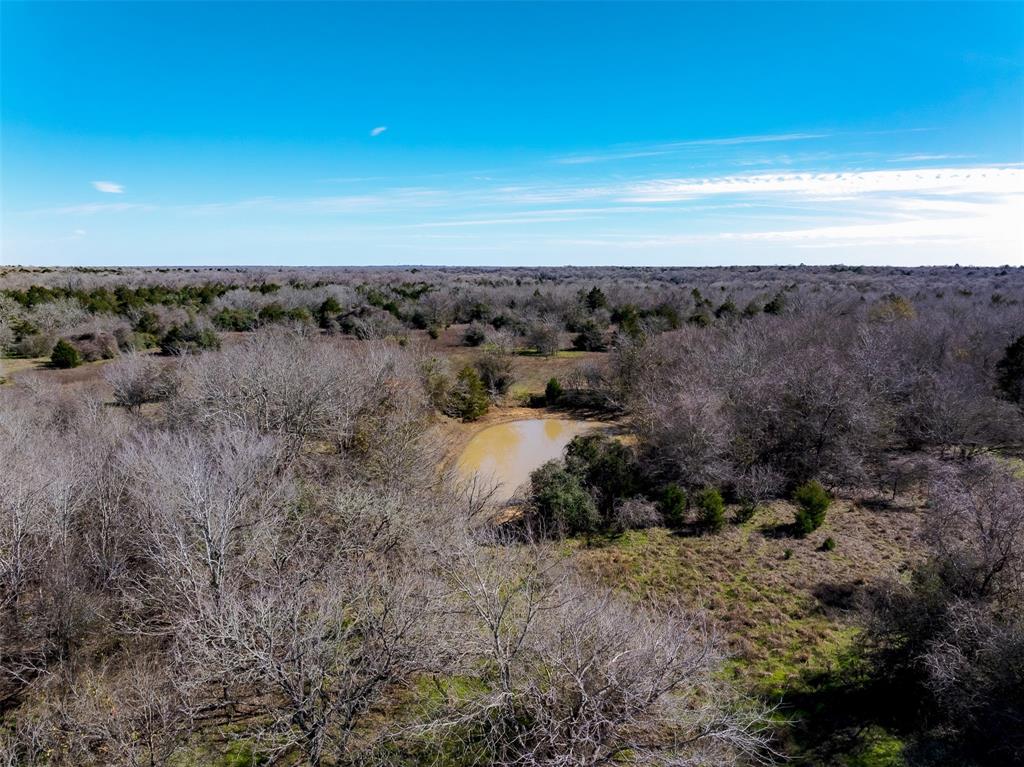 1589 Jeddo Road, Rosanky, Texas image 18