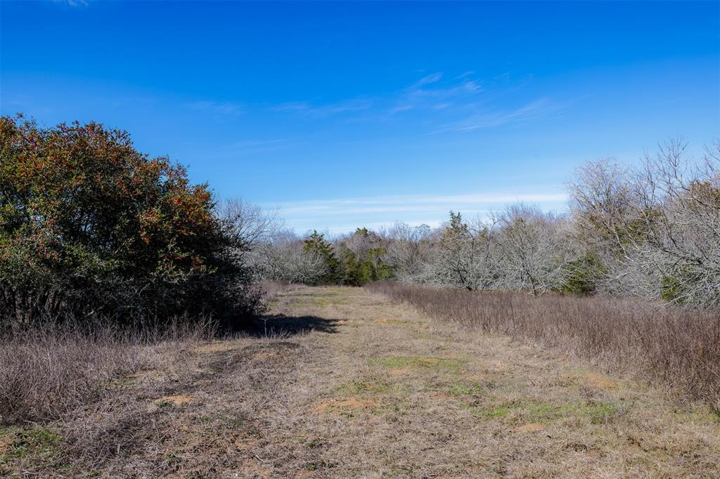 1589 Jeddo Road, Rosanky, Texas image 12