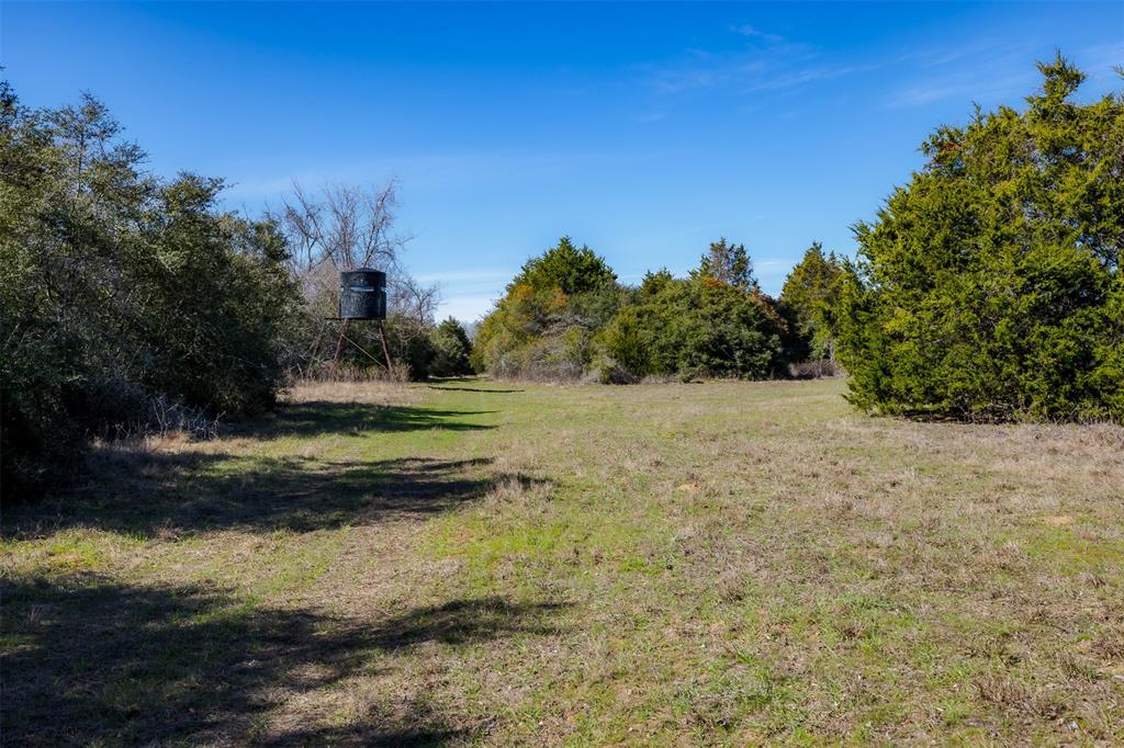 1589 Jeddo Road, Rosanky, Texas image 1