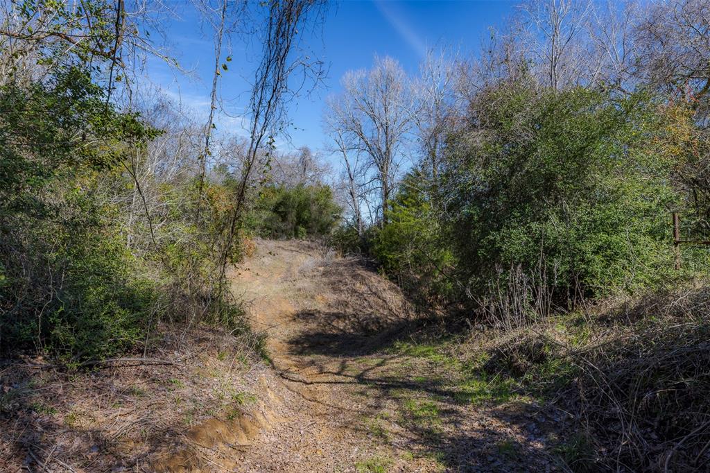 1589 Jeddo Road, Rosanky, Texas image 3