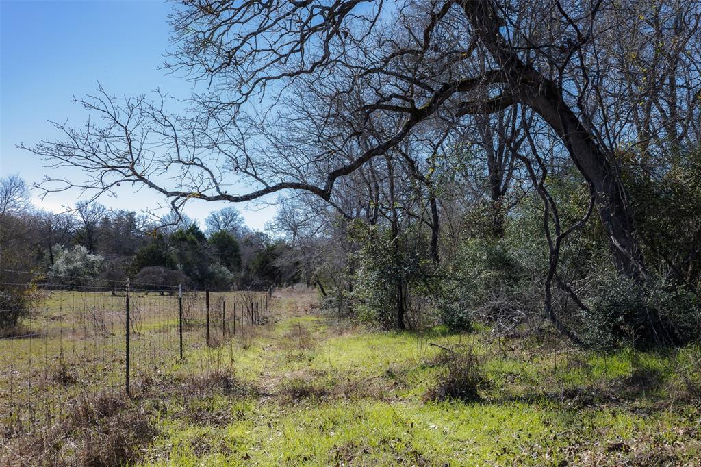 1589 Jeddo Road, Rosanky, Texas image 10