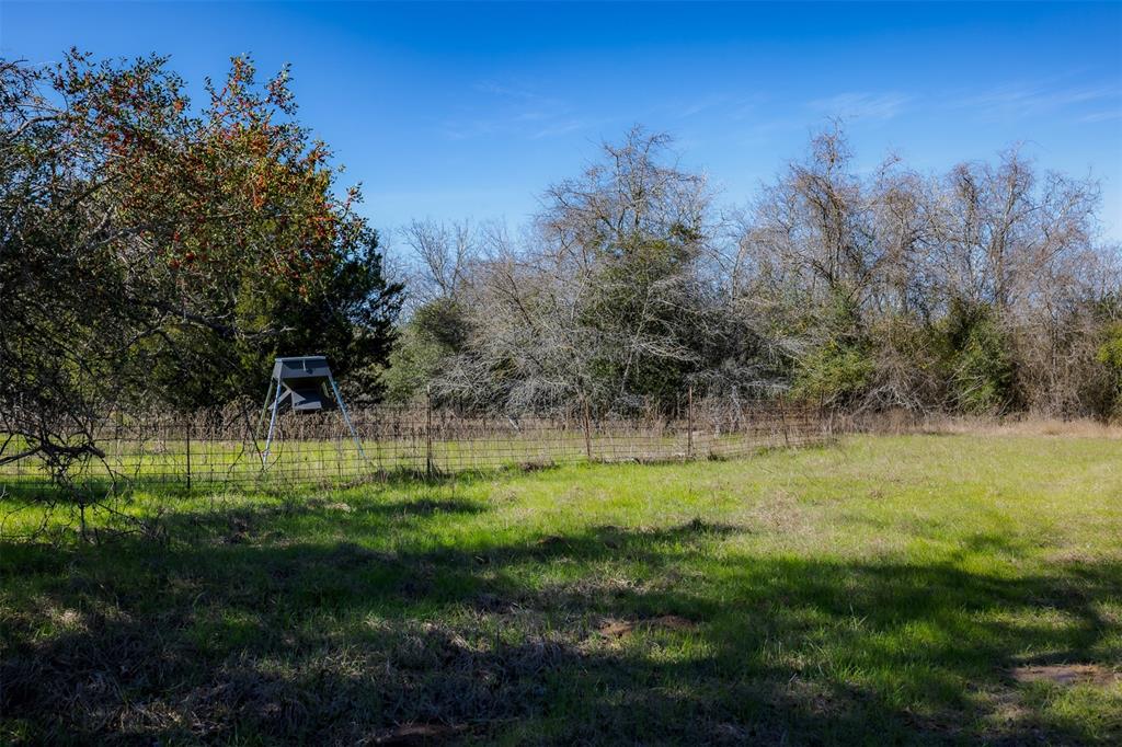 1589 Jeddo Road, Rosanky, Texas image 6