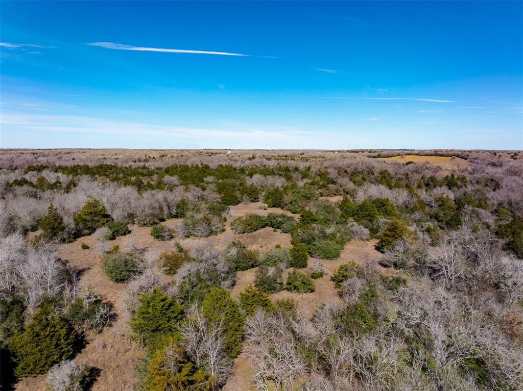 1589 Jeddo Road, Rosanky, Texas image 21