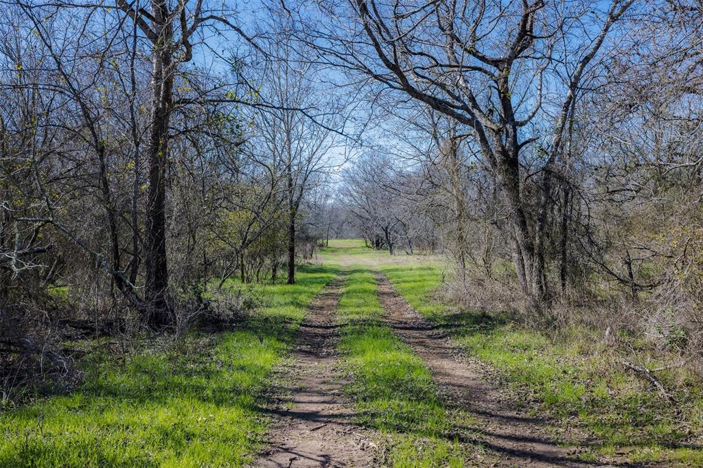 1589 Jeddo Road, Rosanky, Texas image 11