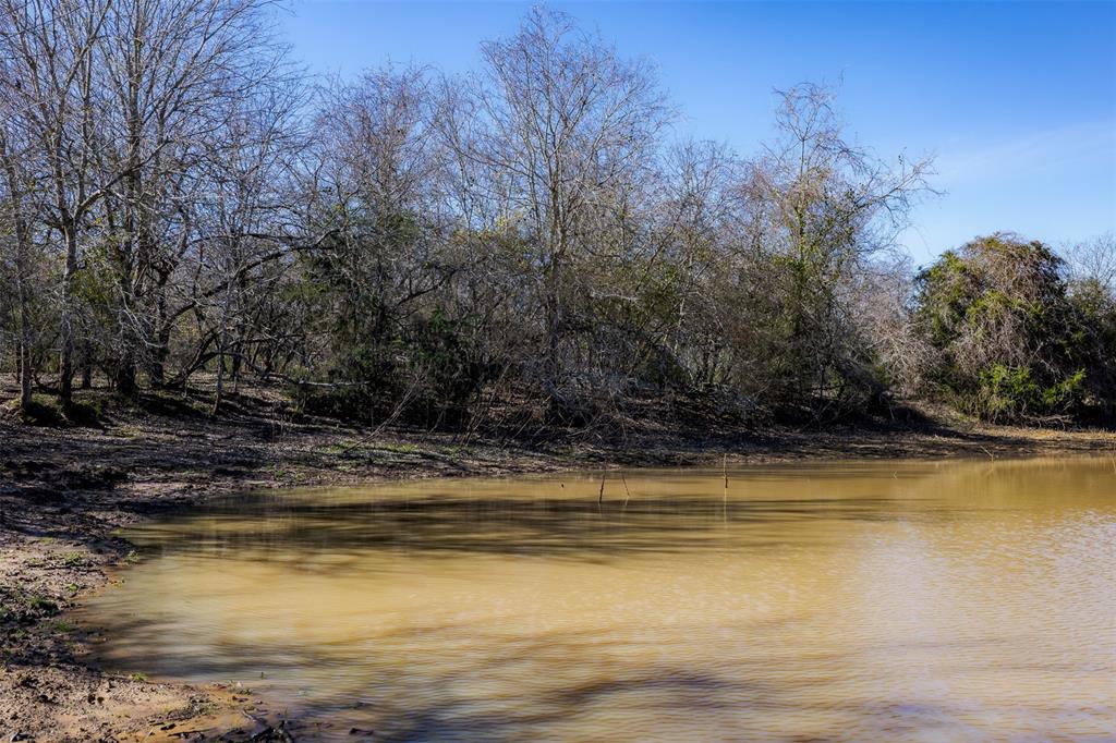 1589 Jeddo Road, Rosanky, Texas image 9