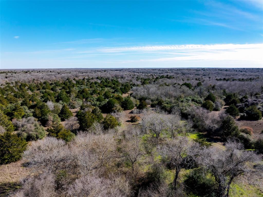 1589 Jeddo Road, Rosanky, Texas image 25