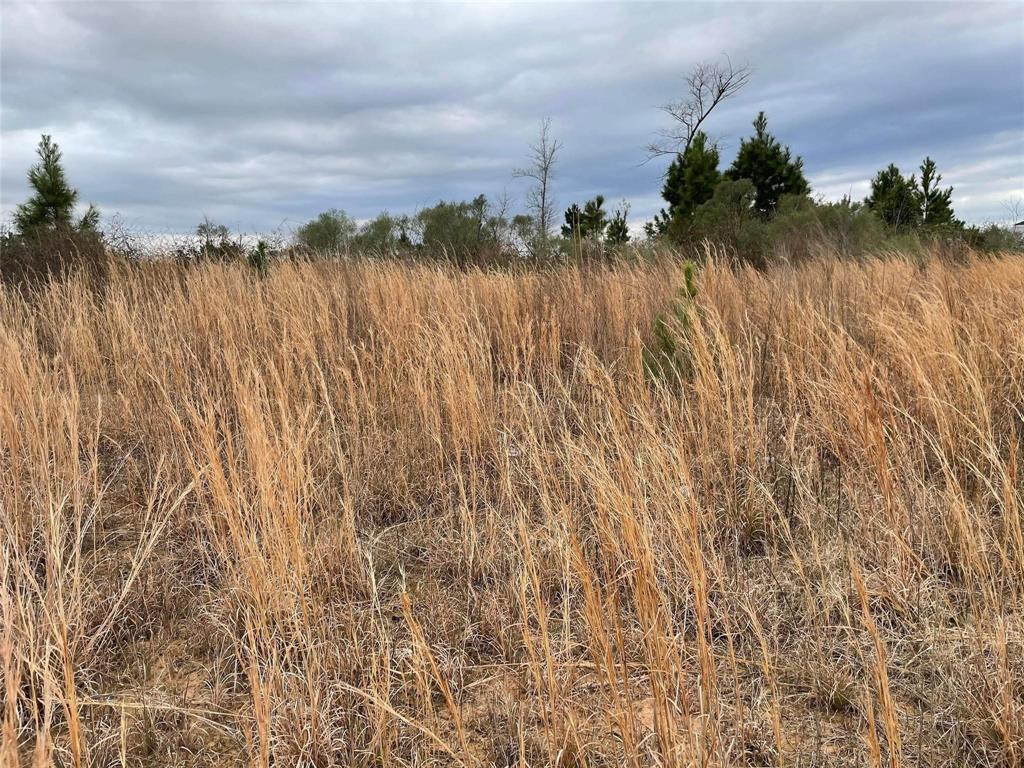 61 Road 5118, Cleveland, Texas image 7