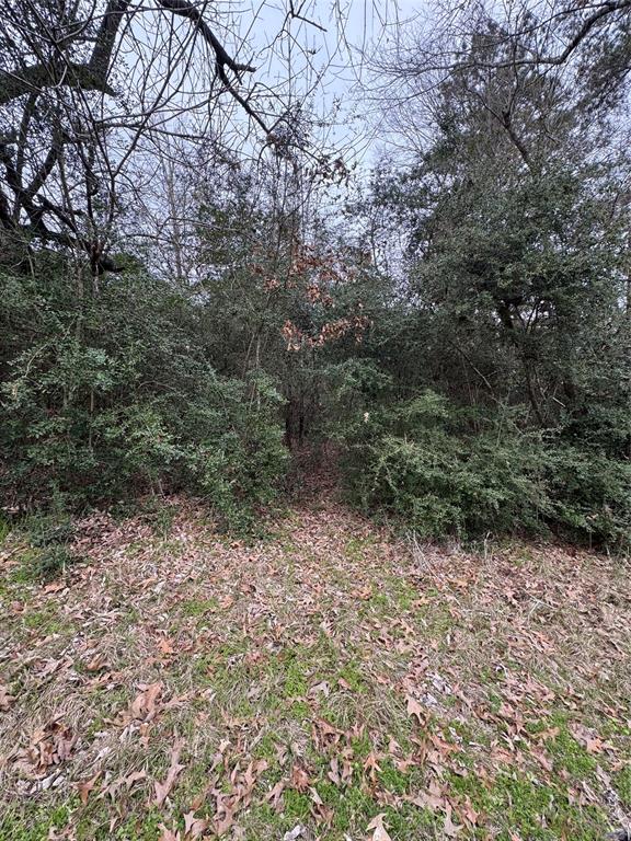 Lot 183 Sequoia Lane, Onalaska, Texas image 3