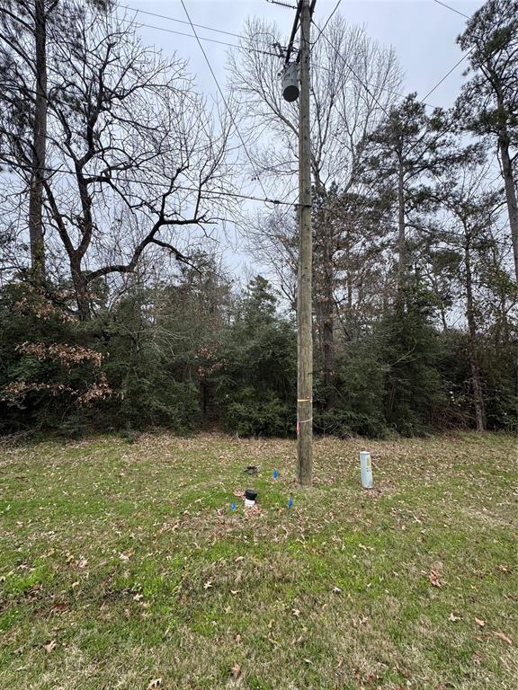 Lot 183 Sequoia Lane, Onalaska, Texas image 2
