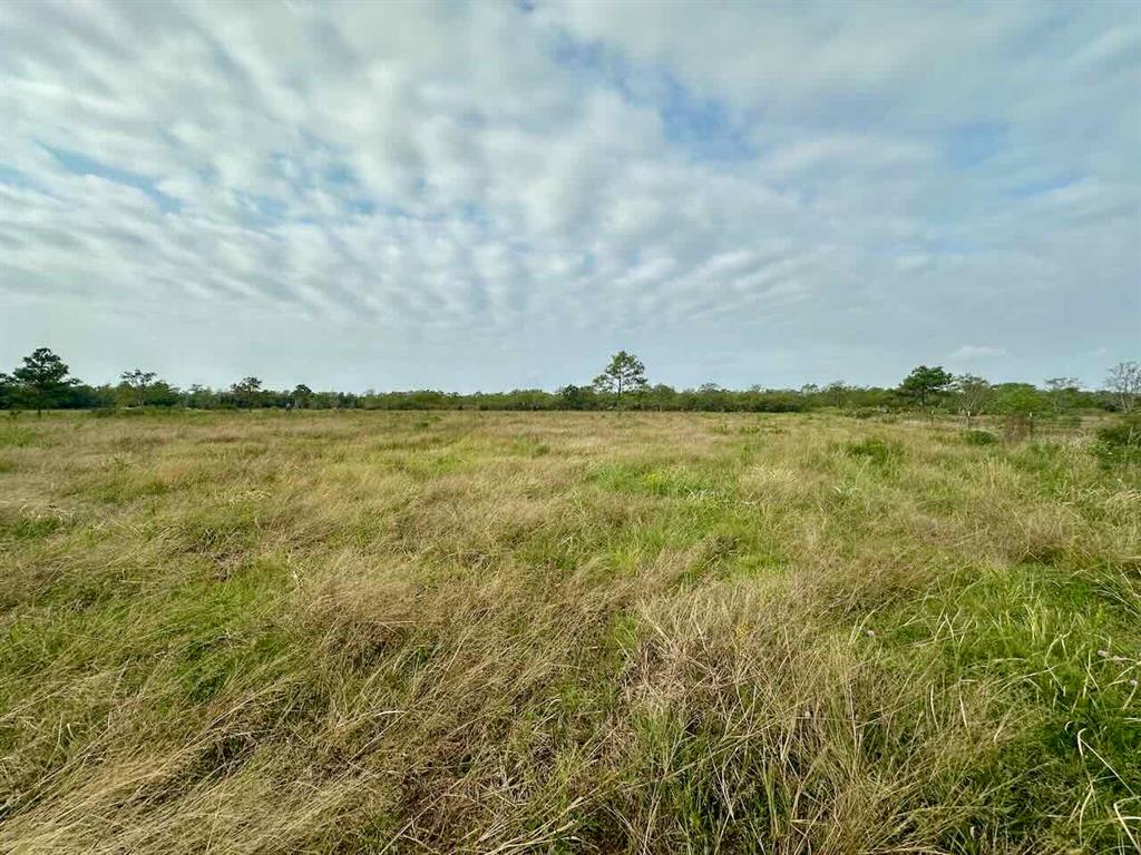 6742 Eagle Rd Rd, Anahuac, Texas image 10