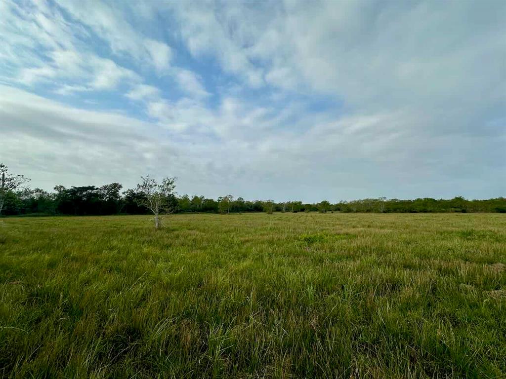 6742 Eagle Rd Rd, Anahuac, Texas image 5