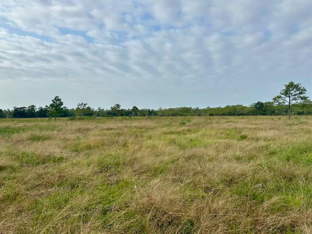 6742 Eagle Rd Rd, Anahuac, Texas image 9