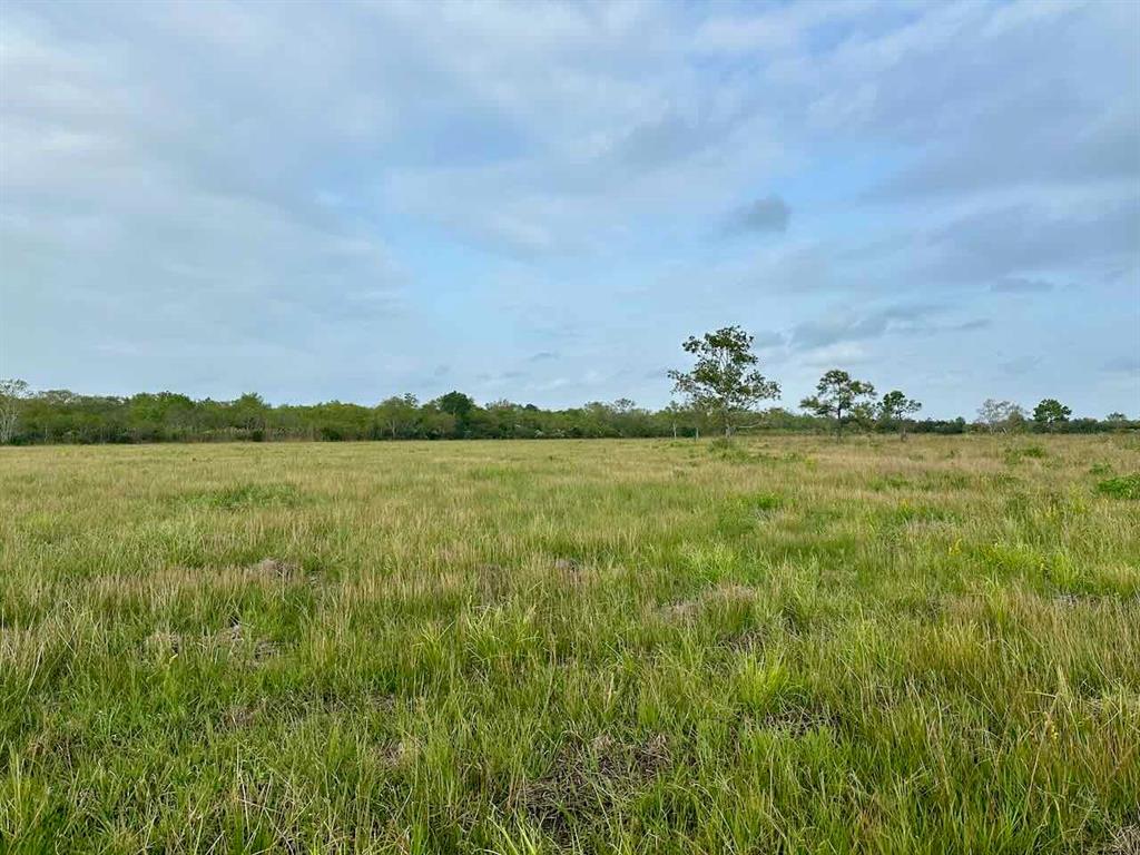 6742 Eagle Rd Rd, Anahuac, Texas image 4