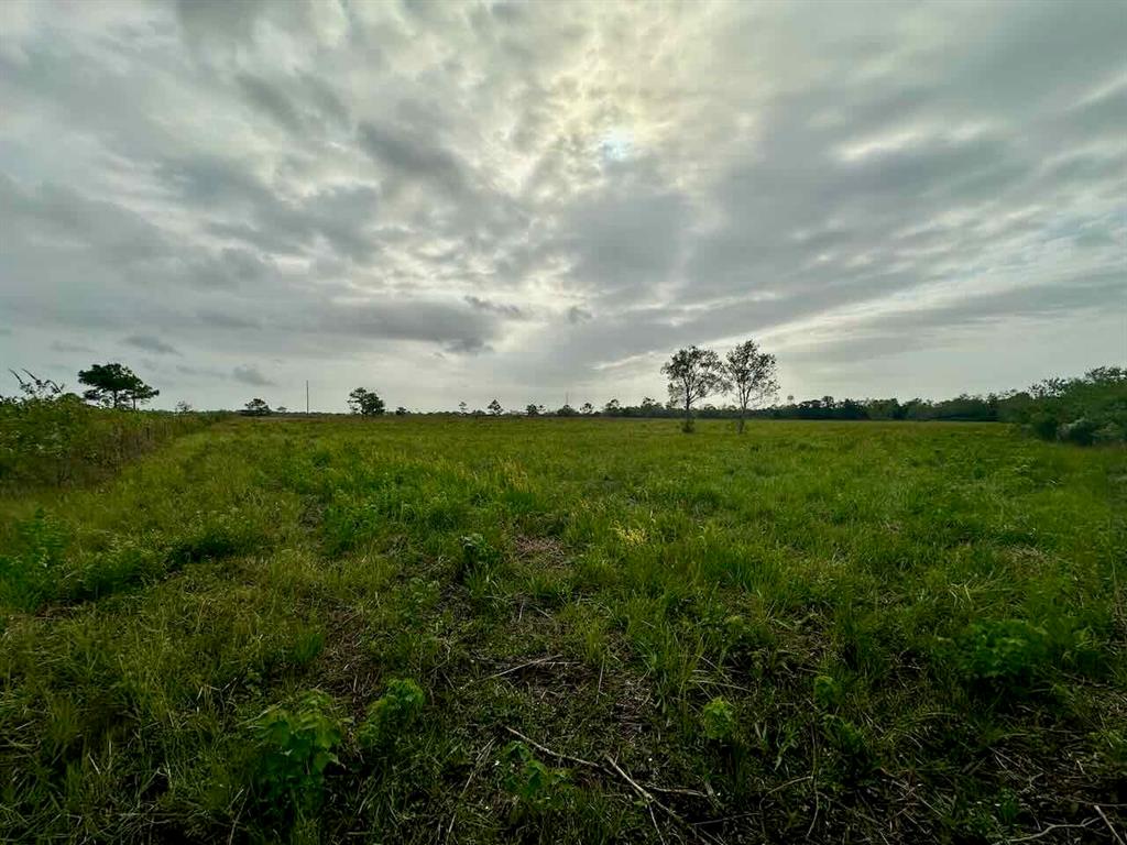 6742 Eagle Rd Rd, Anahuac, Texas image 8