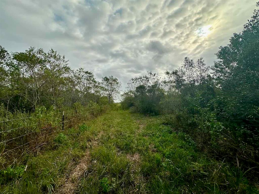 6742 Eagle Rd Rd, Anahuac, Texas image 7