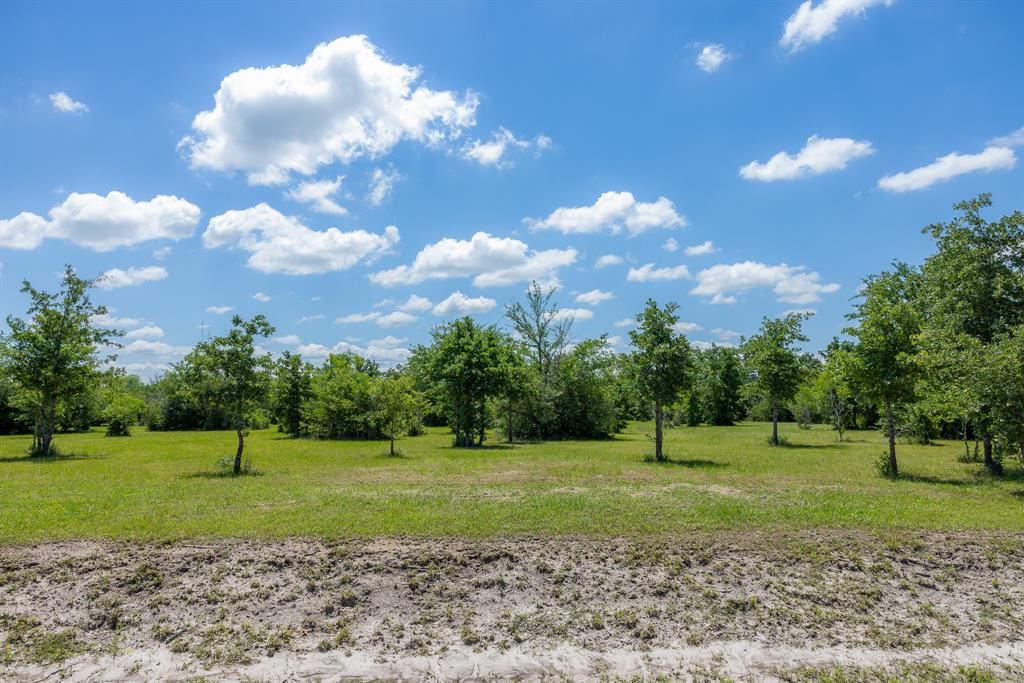 6774 Atakapan Trail, Bedias, Texas image 2