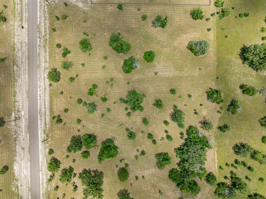 6774 Atakapan Trail, Bedias, Texas image 9