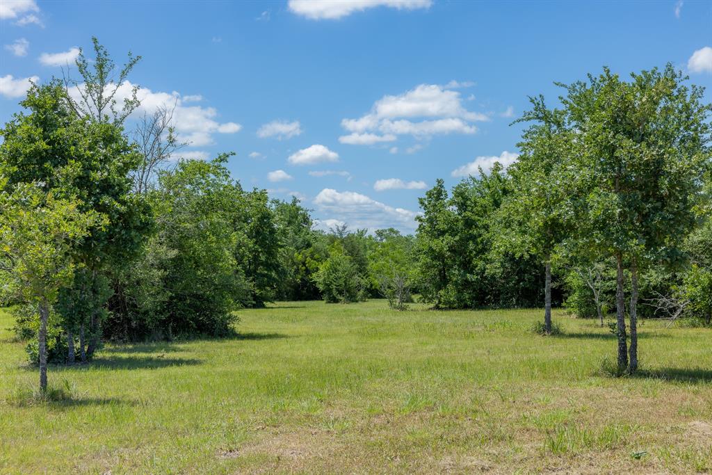 6774 Atakapan Trail, Bedias, Texas image 1