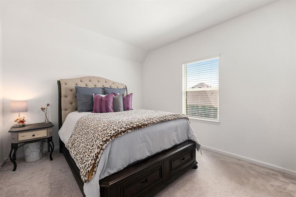 18204 Saffron Sun Street, Conroe, Texas image 23