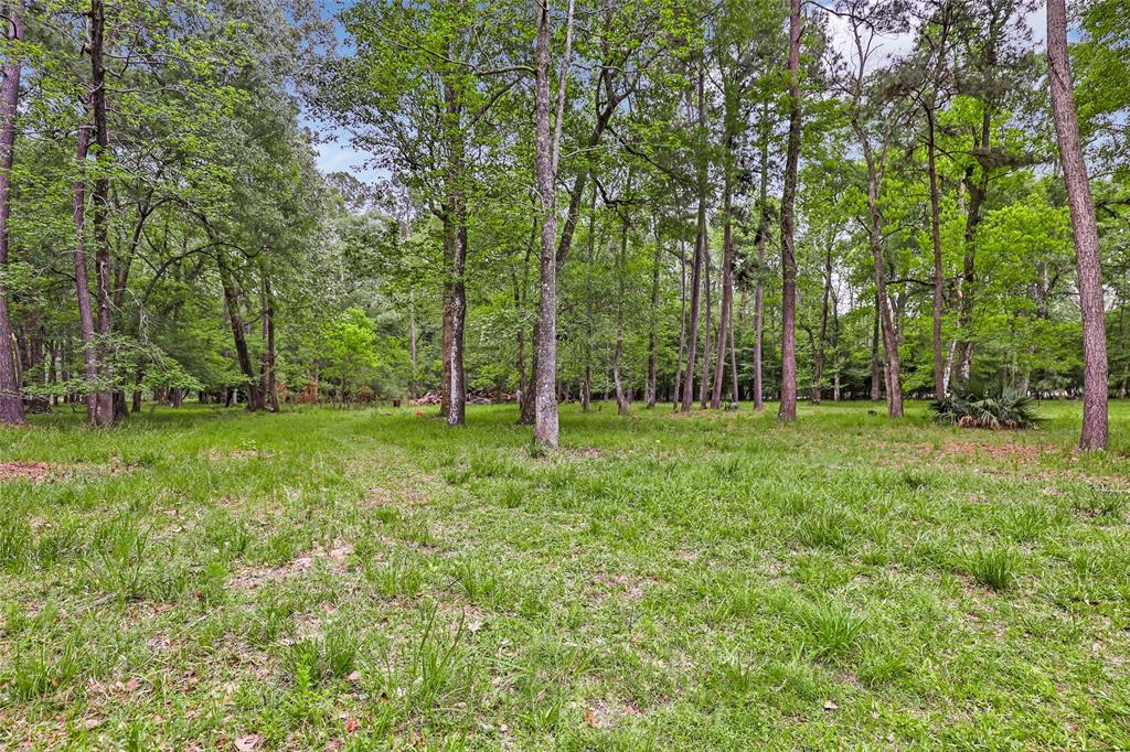 29006 Reserve Bend Drive Drive, Huffman, Texas image 50